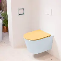 Mondiaz LAVIE hangend toilet single fire rimless diepspoel Clay, Toiletzitting met quick-release & softclose Ocher