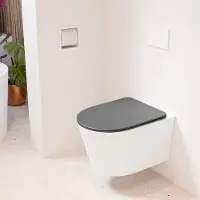Mondiaz lavie hangend toilet single fire rimless diepspoel talc, toiletzitting met quick-release & softclose dark grey