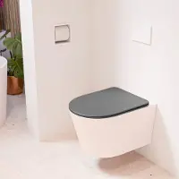 Mondiaz LAVIE hangend toilet single fire rimless diepspoel Rosee, Toiletzitting met quick-release & softclose Dark Grey