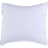 Coppens Kussen 60x70 cm |
