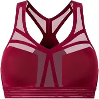 Hästko | Bra No. 38 | Sport-BH