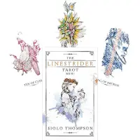 U.S. Games Systems, Inc. The Linestrider Tarot Mini