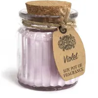 AW Gifts Glazen Potje met Soja Geurkaars Viooltjes - Ø 5,5 x 7 cm - ± 20 branduren