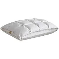 De Witte Lietaer Hoofdkussen Bilancia Wit (40 x 60 cm)