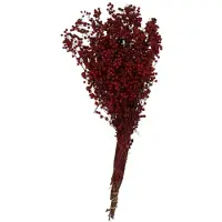 HBX natural living Gedroogde Pepperberries Wijn Red Rood rood Kunststof