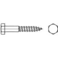Toolcraft 109224 Zeskantbout 12 mm 60 mm Buitenzeskant DIN 571 Staal Galvanisch verzinkt 100 stuk(s)