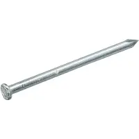 Homefix Draadnagel Vz Pk 2.4X50 | 100 gram - 6701.40.10110