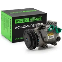 RIDEX 447K0544R Aircopomp