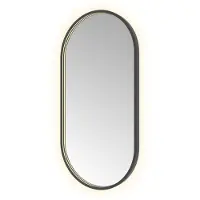 Hotbath &More Oval spiegel ovaal 50x100cm geborsteld zwart PVD