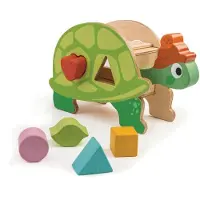 Tender Leaf Toys Houten puzzelspel - Tender Toys - Schildpadvorm doos - Voor kinderen van 3 jaar en ouder - Multikleurig