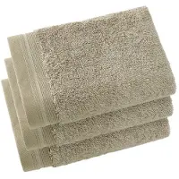 De Witte Lietaer Excellence Lime Green Gastendoekje 40/60