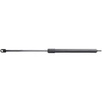 RIDEX 219G0385 Gasveer achterklep