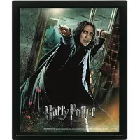Pyramid Deathly Hallows Snape Framed 3D Poster 23x28cm