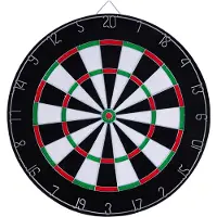 Longfield Darts Dartbord 2,5 cm met 6 darts Dartbord
