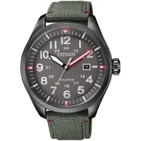 Citizen Heren Eco Drive Grijze Horloge
