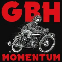 Import Momentum (Dl Card)