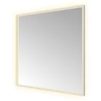 Hotbath &More SQU80 Square spiegel 80x80cm met verlichting, spiegelverwarming, kleurwissel, dimbaar en afstandsbediening RVS316