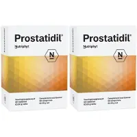Nutriphyt Prostatidil 2x60 St Gecomprimeerde tabletten