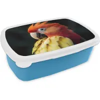 MuchoWow Broodtrommel Blauw - Lunchbox Close-up - Papegaai - Veren - Oranje - Brooddoos 18x12x6 cm - Brood lunch box - Broodtrommels voor kinderen en volwassenen