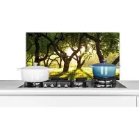 KitchenYeah Spatscherm keuken 80x40 cm - Kookplaat achterwand Bomen - Natuur - Zon - Muurbeschermer - Spatwand fornuis - Hoogwaardig aluminium