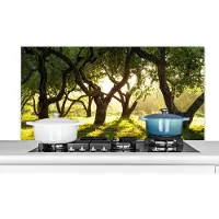 KitchenYeah Spatscherm keuken 120x60 cm - Kookplaat achterwand Bomen - Natuur - Zon - Muurbeschermer - Spatwand fornuis - Hoogwaardig aluminium