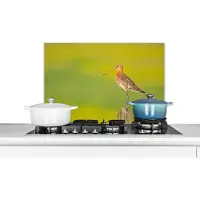 KitchenYeah Spatscherm keuken 60x40 cm - Kookplaat achterwand Vogel - Dieren - Grutto - Paal - Groen - Muurbeschermer - Spatwand fornuis - Hoogwaardig aluminium