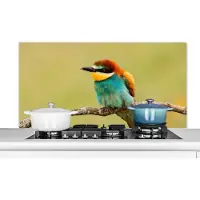 KitchenYeah Spatscherm keuken 120x60 cm - Kookplaat achterwand Vogel - Bijeneter - Dieren - Muurbeschermer - Spatwand fornuis - Hoogwaardig aluminium