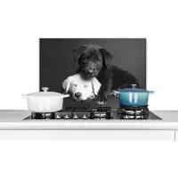 KitchenYeah Spatscherm keuken 60x40 cm - Kookplaat achterwand Honden - Puppy - Zwart - Wit - Dieren - Muurbeschermer - Spatwand fornuis - Hoogwaardig aluminium