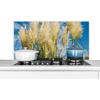 KitchenYeah Spatscherm keuken 100x50 cm - Kookplaat achterwand Pampasgras - Plant - Natuur - Muurbeschermer - Spatwand fornuis - Hoogwaardig aluminium