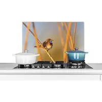 KitchenYeah Spatscherm keuken 60x40 cm - Kookplaat achterwand Vogels - Blauwborst - Riet - Muurbeschermer - Spatwand fornuis - Hoogwaardig aluminium
