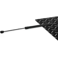 RIDEX 219G1290 Gasveer achterklep