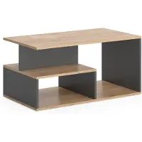 Vicco Salontafel Hasso Eik goud/antraciet 90 x 49.4 cm, Model 55601
