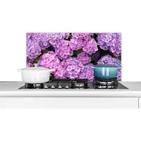 KitchenYeah - Spatwand - Keuken - Hortensia - Bloemen - Roze - Planten - Natuur - 80x40 cm - Spatscherm bloemen - Spatscherm - Decoratie keuken - Achterwand keuken