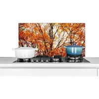 KitchenYeah Spatscherm keuken 90x45 cm - Kookplaat achterwand Bos - Herfst - Seizoenen - Muurbeschermer - Spatwand fornuis - Hoogwaardig aluminium