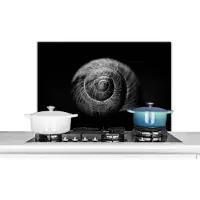KitchenYeah Spatscherm keuken 80x55 cm - Kookplaat achterwand Slak - Dieren - Zwart - Wit - Slakkenhuis - Muurbeschermer - Spatwand fornuis - Hoogwaardig aluminium