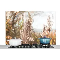 KitchenYeah Spatscherm keuken 120x80 cm - Kookplaat achterwand Riet - Zon - Plant - Muurbeschermer - Spatwand fornuis - Hoogwaardig aluminium