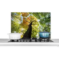 KitchenYeah Spatscherm keuken 90x60 cm - Kookplaat achterwand Boom - Natuur - Bos - Muurbeschermer - Spatwand fornuis - Hoogwaardig aluminium
