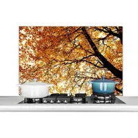 KitchenYeah Spatscherm keuken 100x65 cm - Kookplaat achterwand Boom - Herfstbladeren - Seizoenen - Landelijk - Muurbeschermer - Spatwand fornuis - Hoogwaardig aluminium