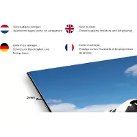 KitchenYeah Spatscherm keuken 120x80 cm - Kookplaat achterwand Koeien - Platteland - Weiland - Natuur - Dieren - Muurbeschermer - Spatwand fornuis - Hoogwaardig aluminium
