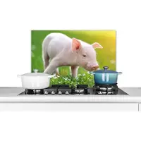 KitchenYeah Spatscherm keuken 70x50 cm - Kookplaat achterwand Dieren - Biggetje - Varken - Muurbeschermer - Spatwand fornuis - Hoogwaardig aluminium