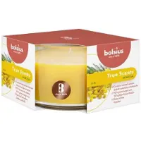 Bolsius Geur stompkaars 50/80 Mimosa