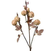 Clayre & Eef Kunstbloem 73 cm Beige Kunststof