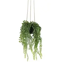 Countryfield Kunstplant Peperomia groen-hoogte 45 cm