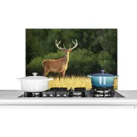 KitchenYeah Spatscherm keuken 80x55 cm - Kookplaat achterwand Hert - Gewei - Gras - Natuur - Dieren - Groen - Muurbeschermer - Spatwand fornuis - Hoogwaardig aluminium