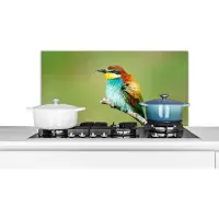 KitchenYeah Spatscherm keuken 80x40 cm - Kookplaat achterwand Vogel - Dieren - Bijeneter - Muurbeschermer - Spatwand fornuis - Hoogwaardig aluminium