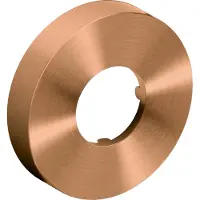 Clou Muurrozet 6cm, brons geborsteld PVD t.b.v. Mini Suk sifon
