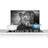 KitchenYeah Spatscherm keuken 60x40 cm - Kookplaat achterwand Wilde dieren - Leeuw - Natuur - Zwart - Wit - Muurbeschermer - Spatwand fornuis - Hoogwaardig aluminium