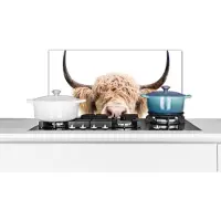 KitchenYeah Spatscherm keuken 60x30 cm - Kookplaat achterwand Koe - Hoorns - Dieren - Natuur - Muurbeschermer - Spatwand fornuis - Hoogwaardig aluminium