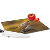 KitchenYeah Glazen Snijplank - 28x20 - Vogel - Tak - Vlaamse gaai - Snijplanken Glas