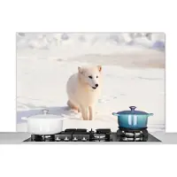KitchenYeah Spatscherm keuken 120x80 cm - Kookplaat achterwand Vos - Sneeuw - Wit - Muurbeschermer - Spatwand fornuis - Hoogwaardig aluminium